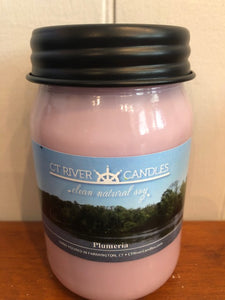 Connecticut River Soy Candle